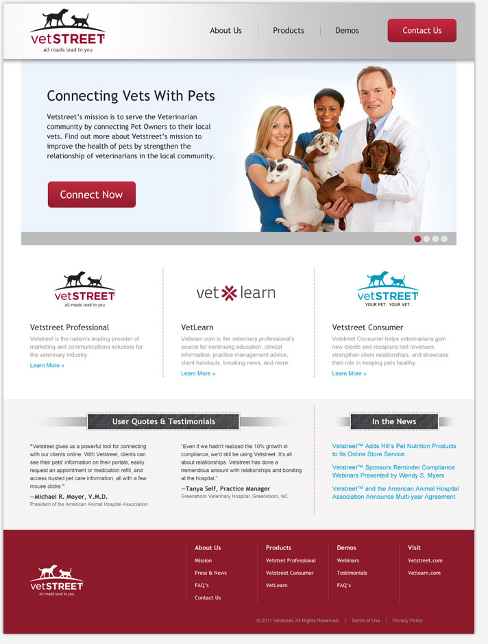 Website Snapshot