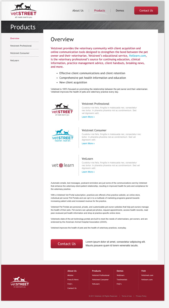 Website Snapshot