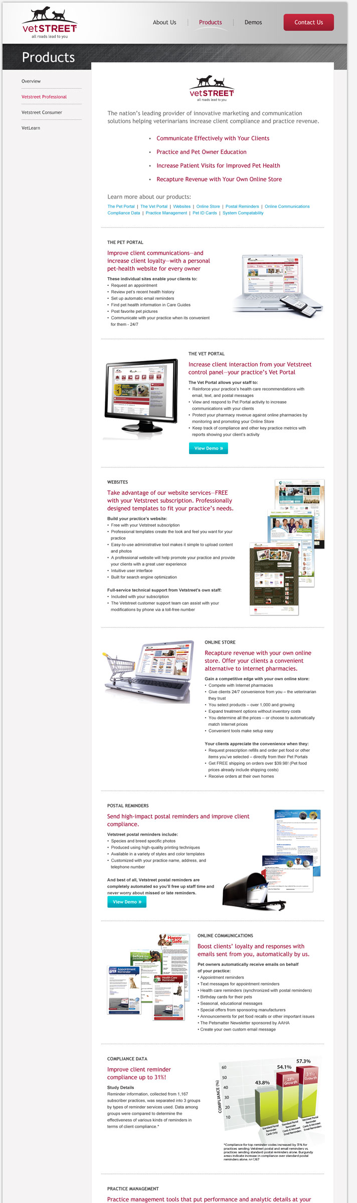 Website Snapshot