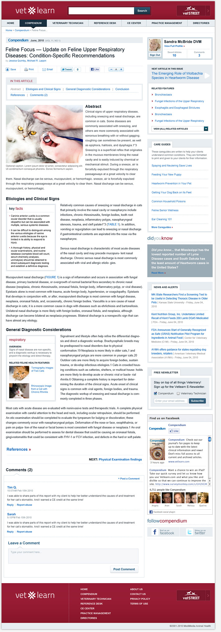 Website Snapshot
