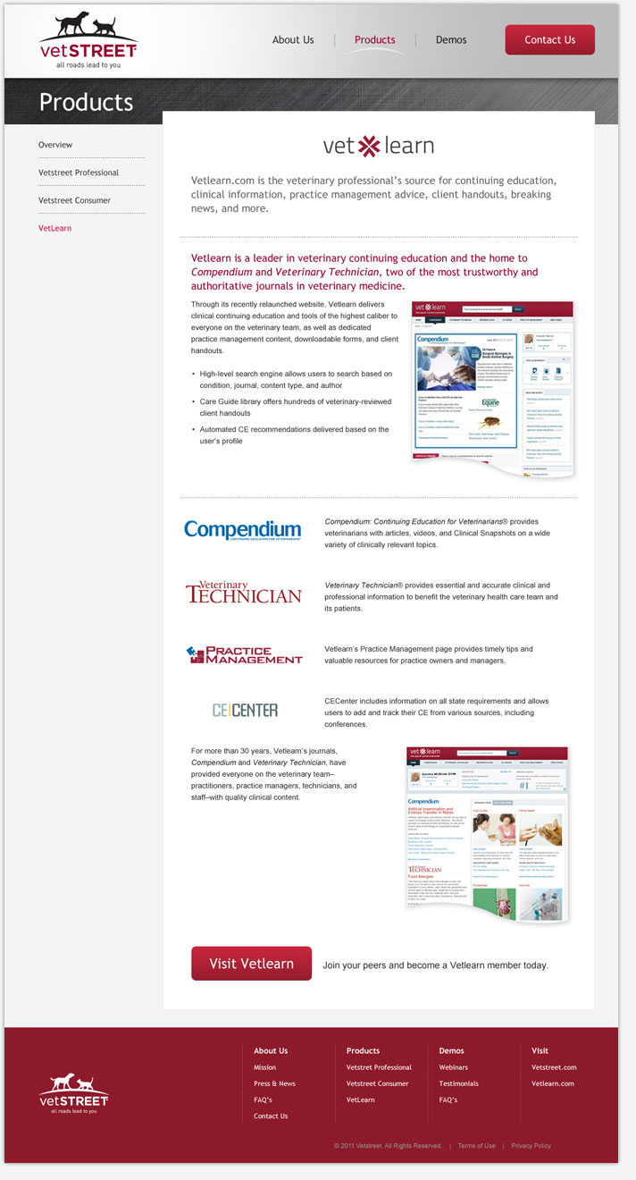 Website Snapshot