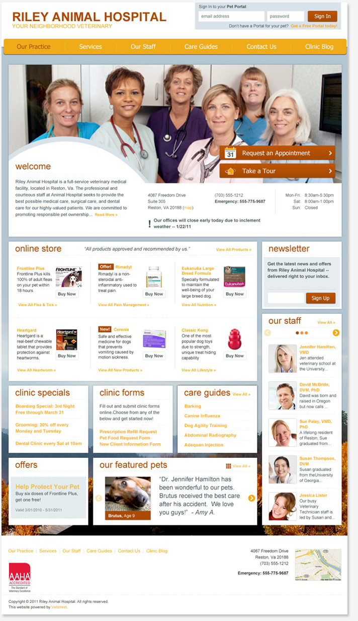 Website Snapshot