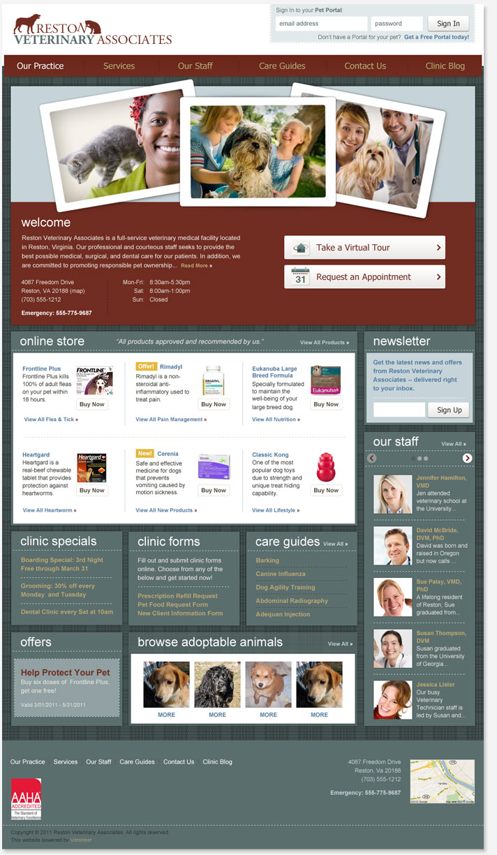 Website Snapshot