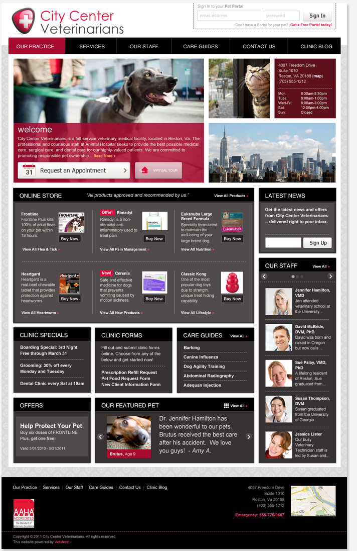 Website Snapshot