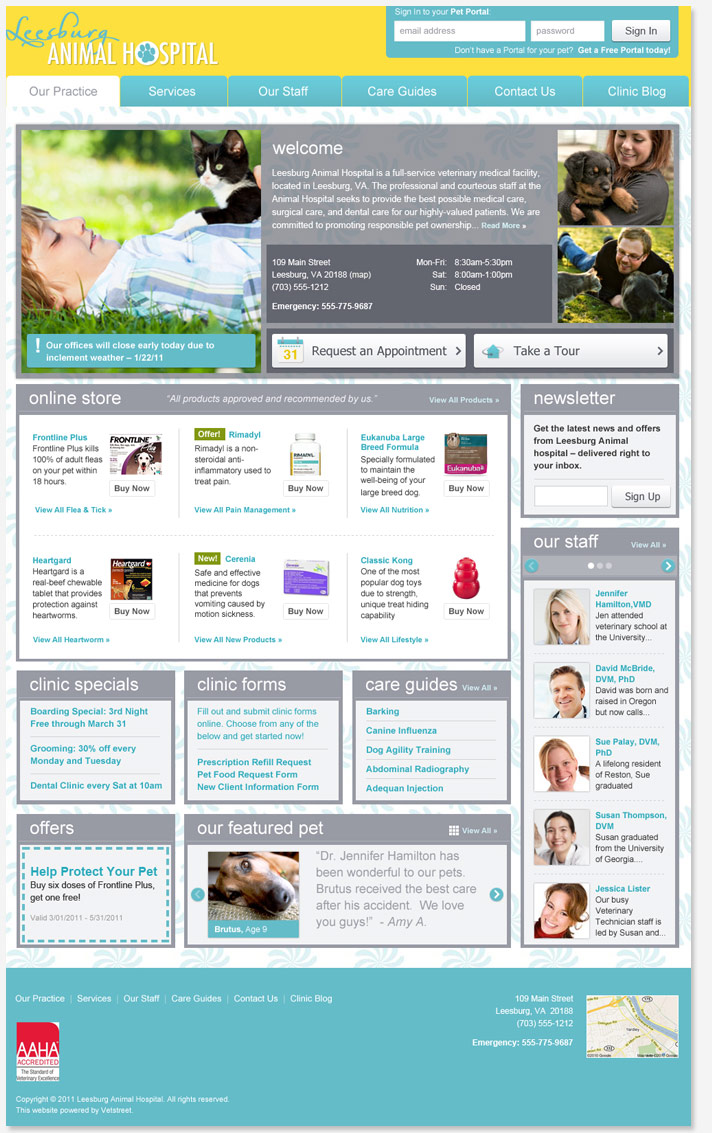 Website Snapshot