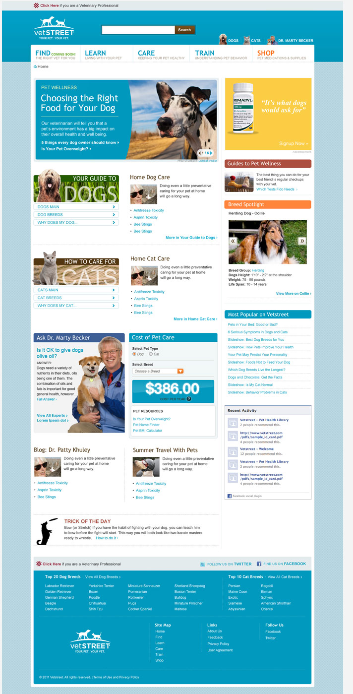 Website Snapshot