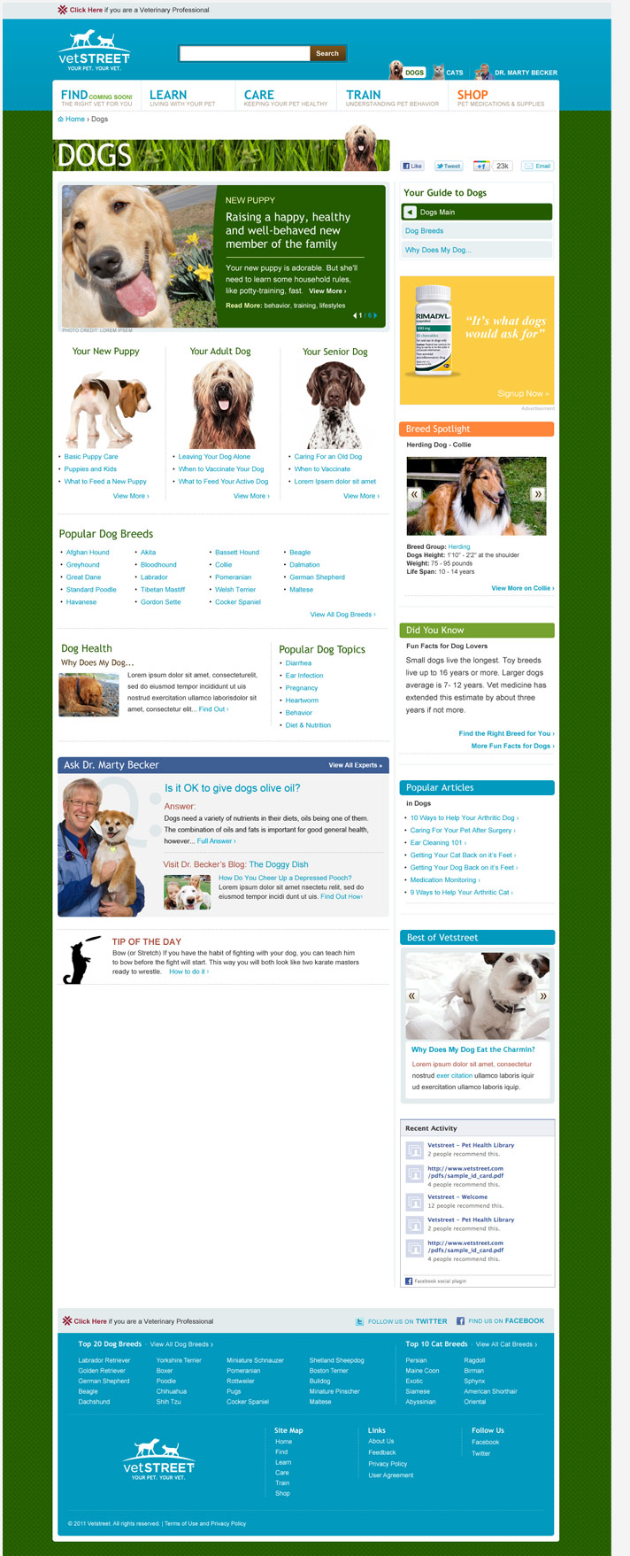 Website Snapshot