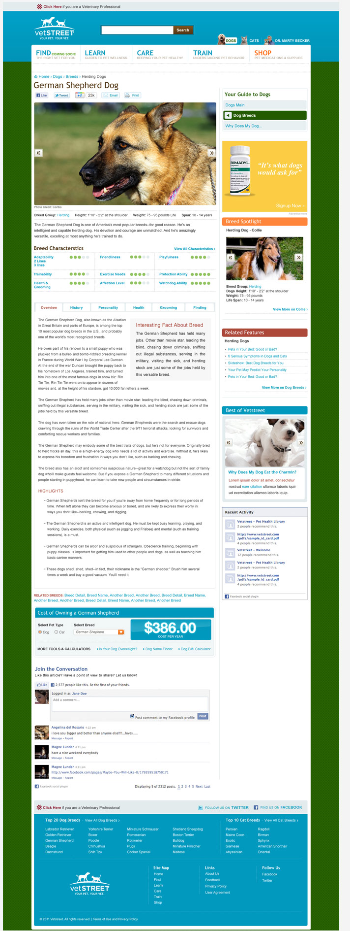 Website Snapshot