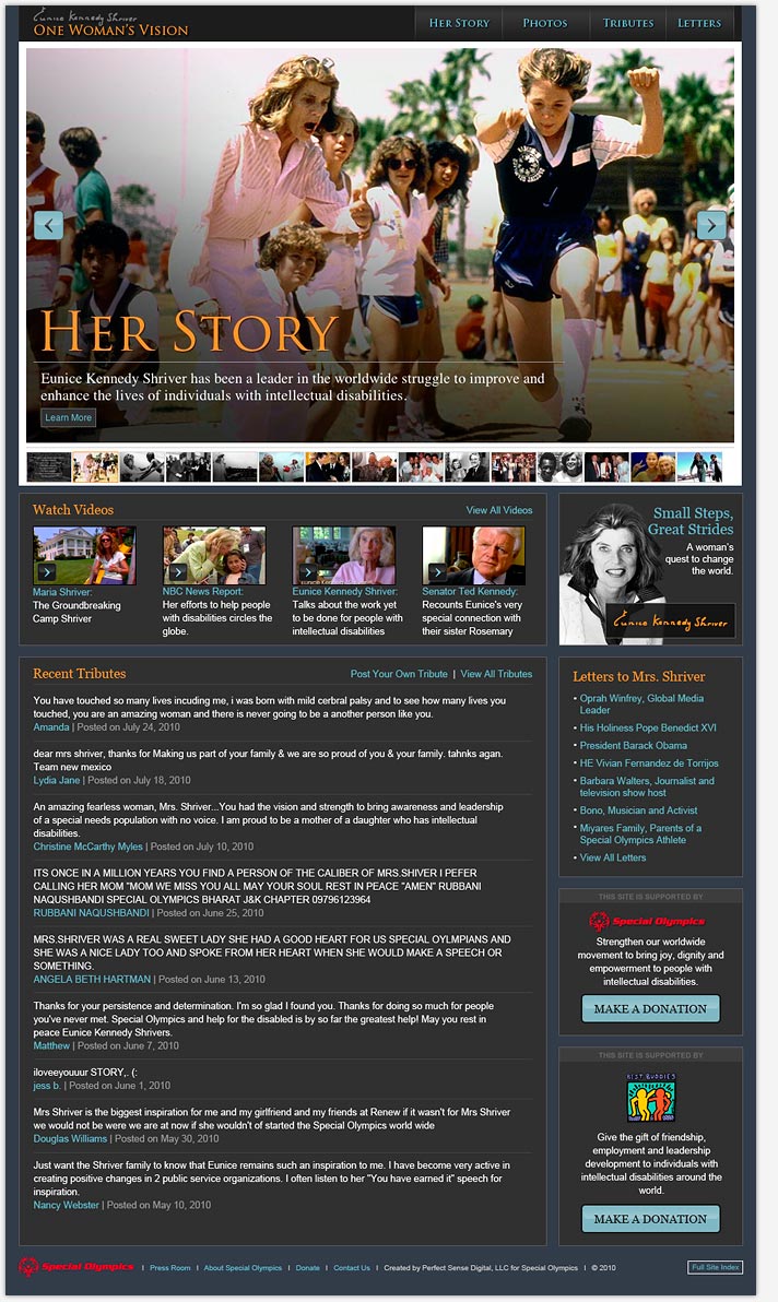 Website Snapshot